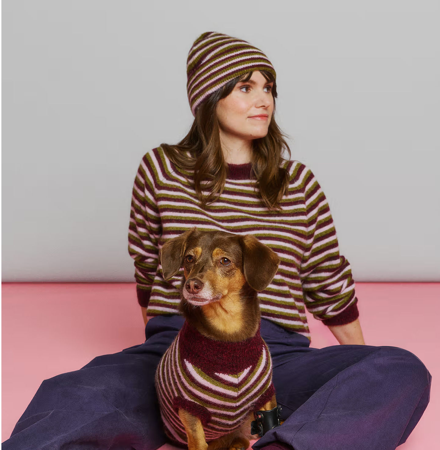 CKS DOG COLLECTION