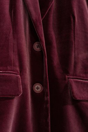 Blazers - CLAZER