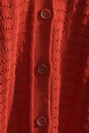 Cardigan - CITRUS