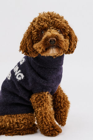 PARFUMDOG - CKS