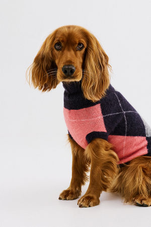 PARFUMDOG - CKS