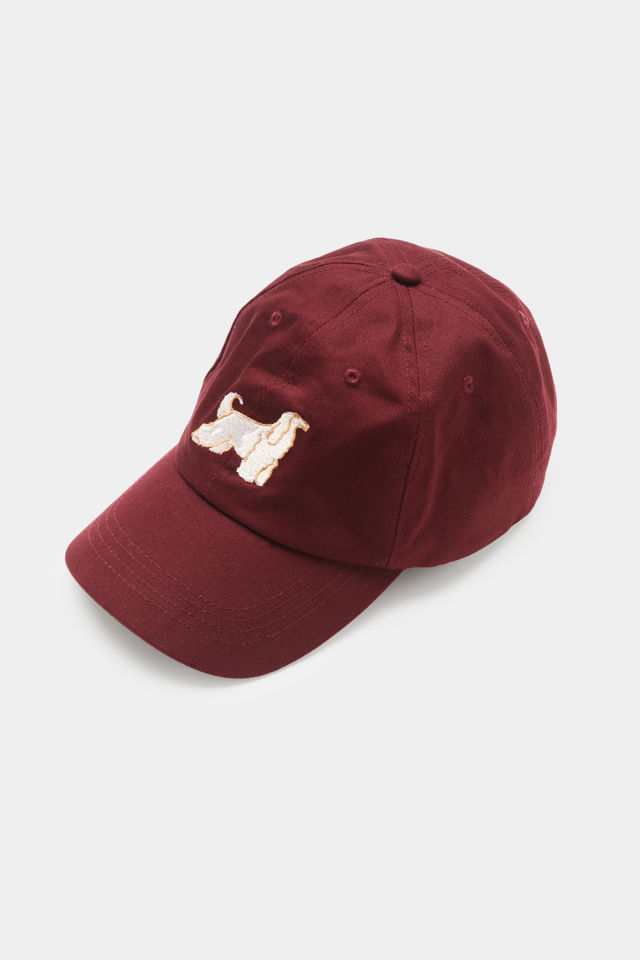 CAP