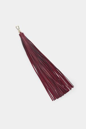 TASSEL